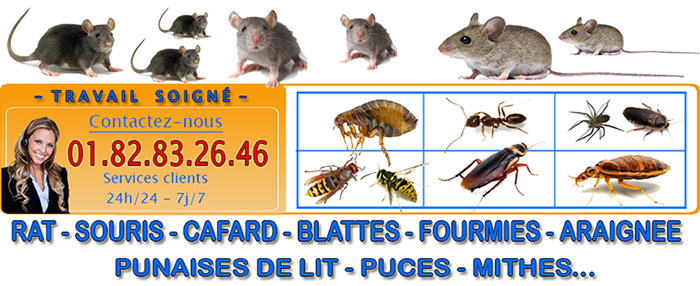 Punaises de lit Fourqueux 78112