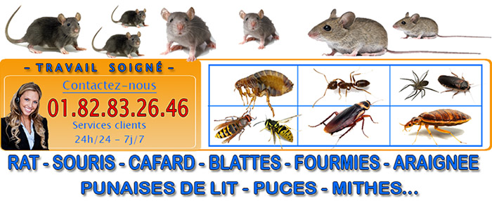 Punaises de lit Le Bourget 93350